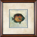 Tropical Fish 3 Framed Print - 21"x 21"