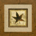 Rustic Leaves 2 (Star) Framed Print