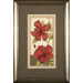 Hibiscus 4 Framed Print