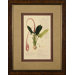 Plate 4249 Framed Print