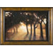 Toward the Sun Framed Print