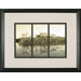 Sunrise Grasses Framed Print