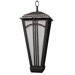 Parisian PE4400 Series 18" Hanging Lantern