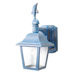 Americana Dolphin Series 16.5" Wall Lantern