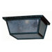 Kiss Series 1 Light Outdoor Flush Mount