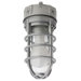 1 Light Outdoor Ceiling/Wall Light