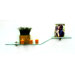 Floating Sparrow Shelf