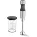 2-Speed Immersion Blender