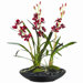 Cymbidium Orchid in Bamboo Plate