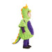 Dragon Costume