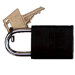Hardened Steel Padlocks Keyed Alike