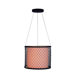 Industrial Chic III 2 Light Drum Pendant