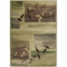 Sorrento Green Rug