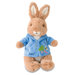 Potter Nursery Waggie Musical Peter Rabbit Plush