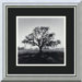 Oak Tree, Sunrise, Northern California, 1966 by Ansel Adams, Framed Print Art - 13.86" x 13.86"