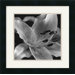 Speckled Lily by Gaetano Art Group Framed Fine Art Print - 15.62" x 15.75"