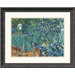 Poppy in Lace Framed Decorative Art Print - 18" x 18"