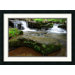 Collins Creek Cascades Framed Print by Andy Magee