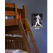 MLB Player Canvas Art