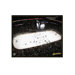 NHL Arena Canvas Art