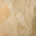 Landscape 18" x 18" Porcelain Floor Tile in Canyon