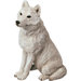 Mid Size Artic Wolf Sculpture