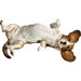 Original Size Basset Hound Sculpture