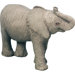 Small Size African Elephant Calf Sculpture
