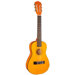 Kid's Guitar