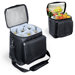 Cellar Wine Carrier