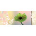Spirit Blossom Panel Decals