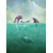 Phoenix Dolphins Wall Mural