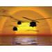 Phoenix Sunset Helicopter Wall Mural