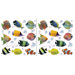Euro Fishes Window Decal