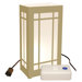 Electric Luminaria Kit with LumaBases (Set of 10)