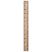 12" Wood Ruler