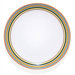Origo 10" Orange Dinner Plate
