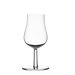 Essence Plus After Dinner Glass (Set of 2)