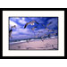 Gulls Flying Over Beach Framed Photograph - Martin Fox