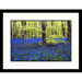 Trees and Flowers in Forest Framed Photograph