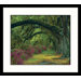 Stately Oak Charleston, South Carolina Framed Photograph - Adam Jones