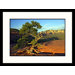 Gnarled Tree, Airport Mesa Vortex Framed Photograph - Pat Canova