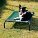 Elevated Indoor/Outdoor Pet Cot for Medium Breeds