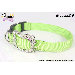 LED Safety Collar