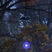Single 6" Glowing LED Solar Tree Light in Blue and White