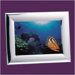 Picture Frame