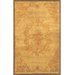Neo Nepal Gold/Brown Aubusson Flowers Rug