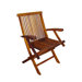 Terrace Mates Folding Dining Arm Chairs (Set of 2)