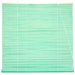 Shoji Paper Roll Up Blinds in Light Green
