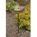 Bird Bath Stake Finches Coneflower in Glass